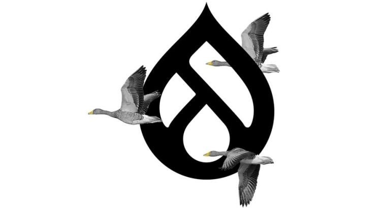 Drupal Logo with Geese Flying By